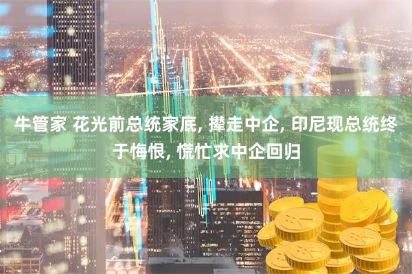 牛管家 花光前总统家底, 撵走中企, 印尼现总统终于悔恨, 慌忙求中企回归